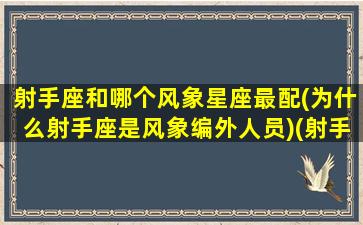 射手座和哪个风象星座最配(为什么射手座是风象编外人员)(射手 风象)